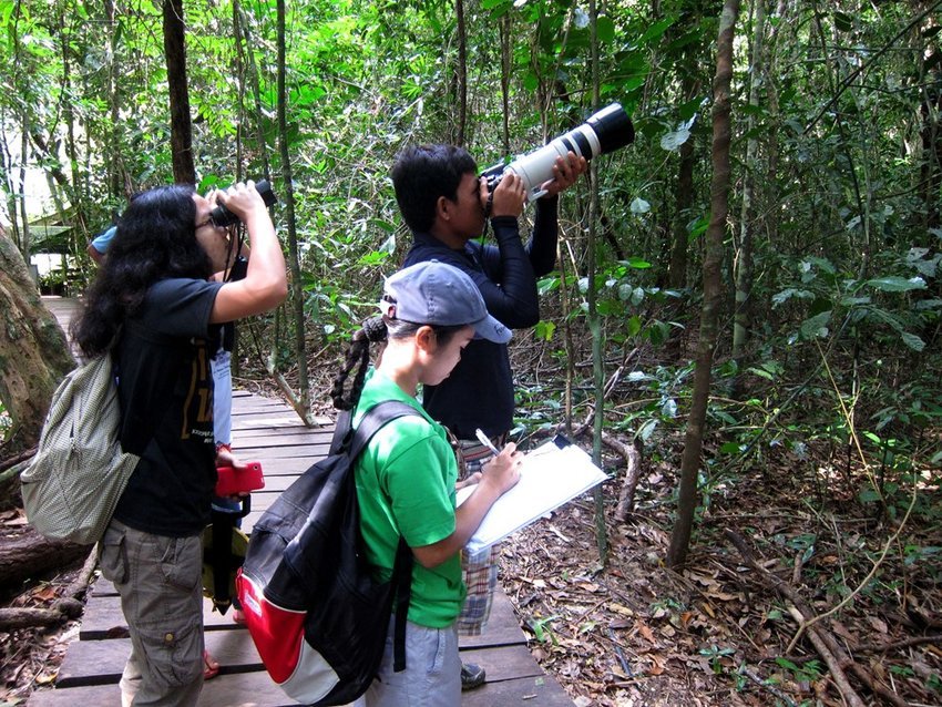 BirdwatchingactivityinPuertoPrincesaSubterraneanRiverNationalParkPPSRNP
